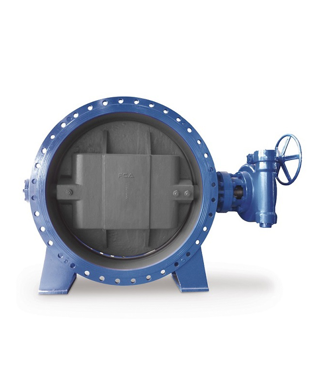 Bieccentric Butterfly Valve